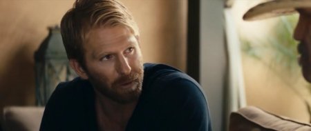   (2017)
