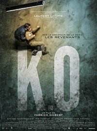   (2017)