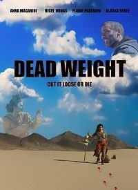 ̸  (2019)