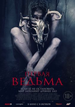   (2019)
